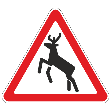 1.27 Дикие животные